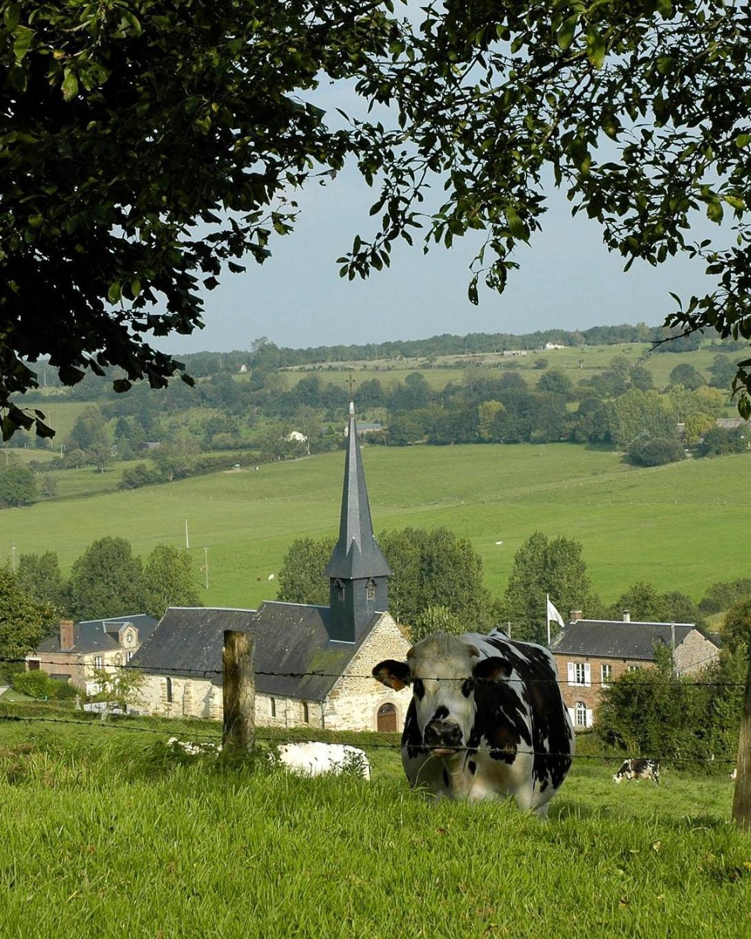 Gite Le Refuge Vimoutiers Extérieur photo