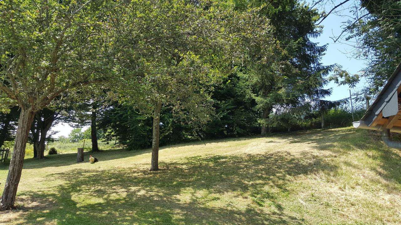 Gite Le Refuge Vimoutiers Extérieur photo